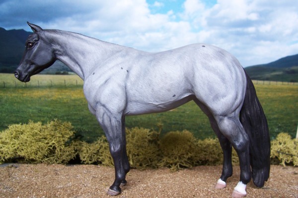 Blue roan quarter horse Ebony incest stories
