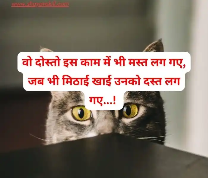 Funny sms hindi Cartoon cowgirl porn