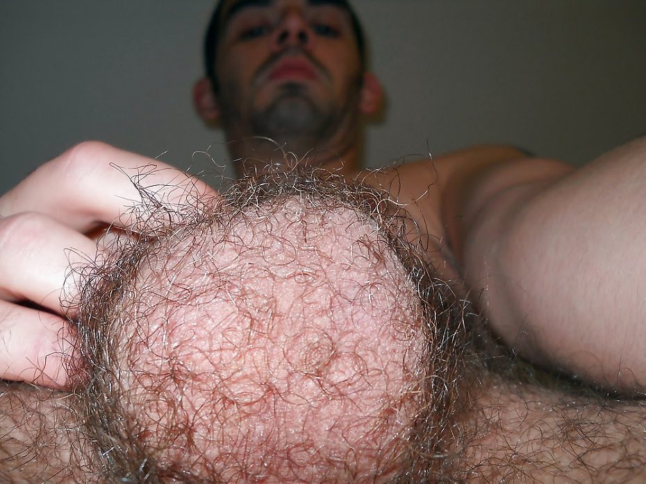 Hairy balls gay porn Jordana brewster nude pic