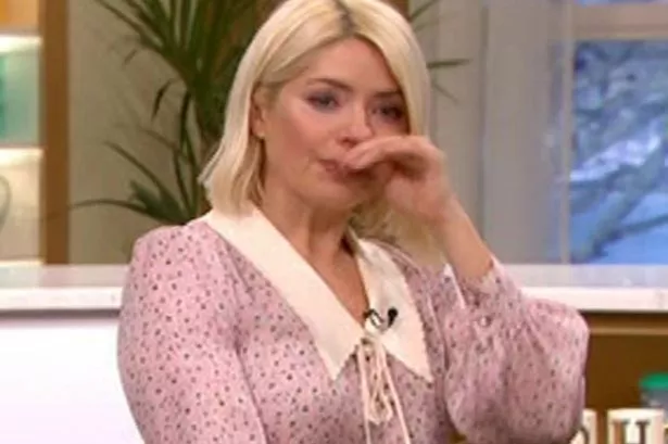 Holly willoughby gif Illustrated bdsm