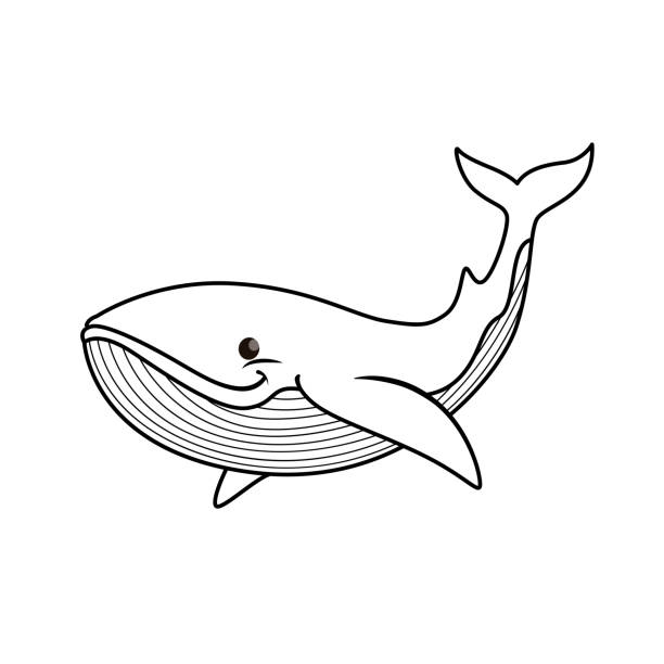How to draw a sperm whale Edward cullen gay porn