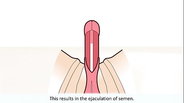 Male orgasm porn video Famous male cock