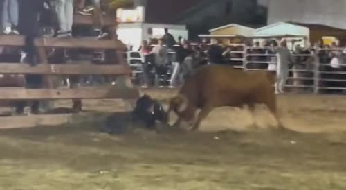 Naked bull riding gif White girl xxx videos