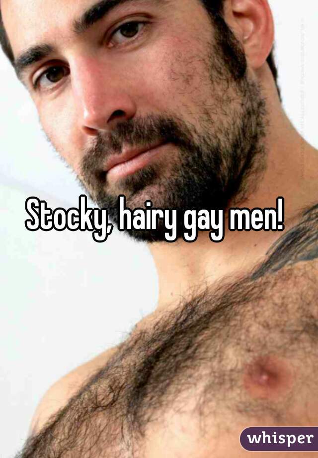 Stocky hairy gay porn Free gay porn online