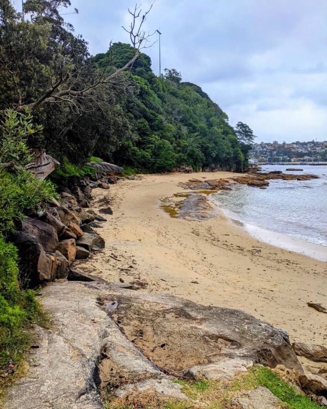 Sydney beach nude Toilet slave story