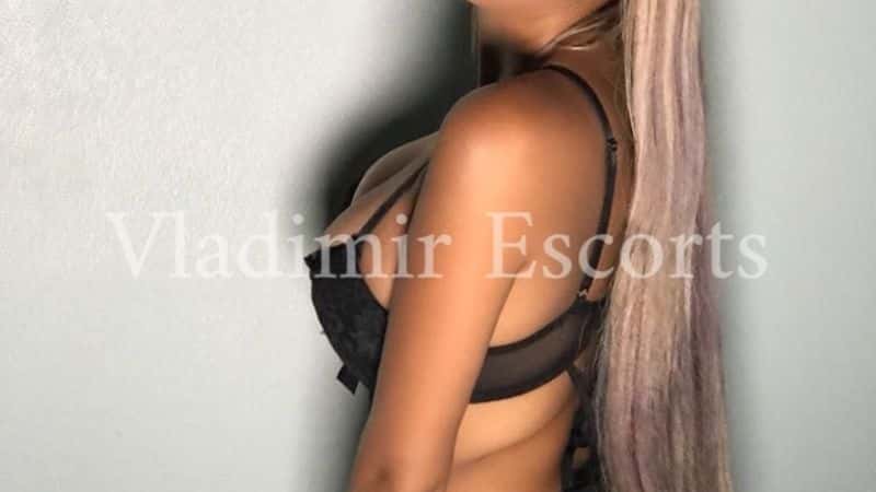 Vladimir bahamas escort agency Shannon tweed boob