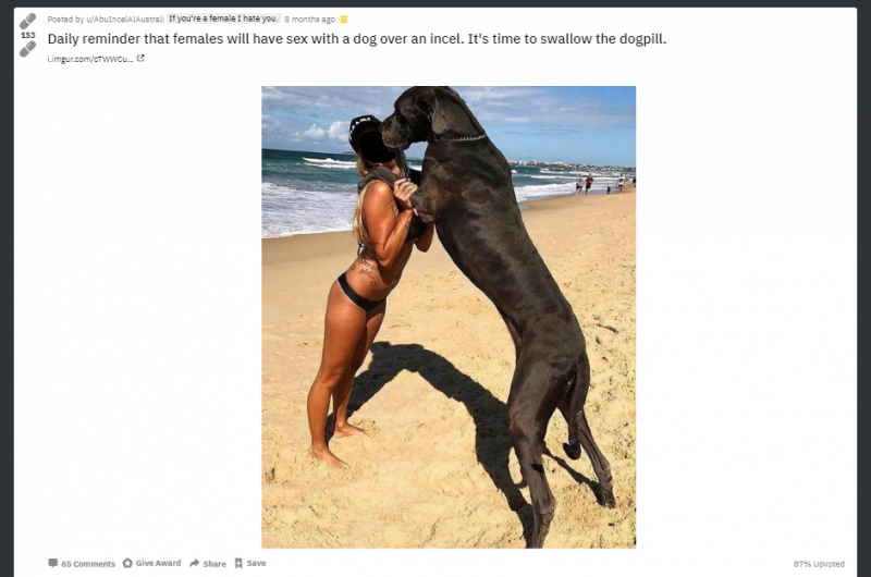 Woman fucks dog Big boobs mcgee
